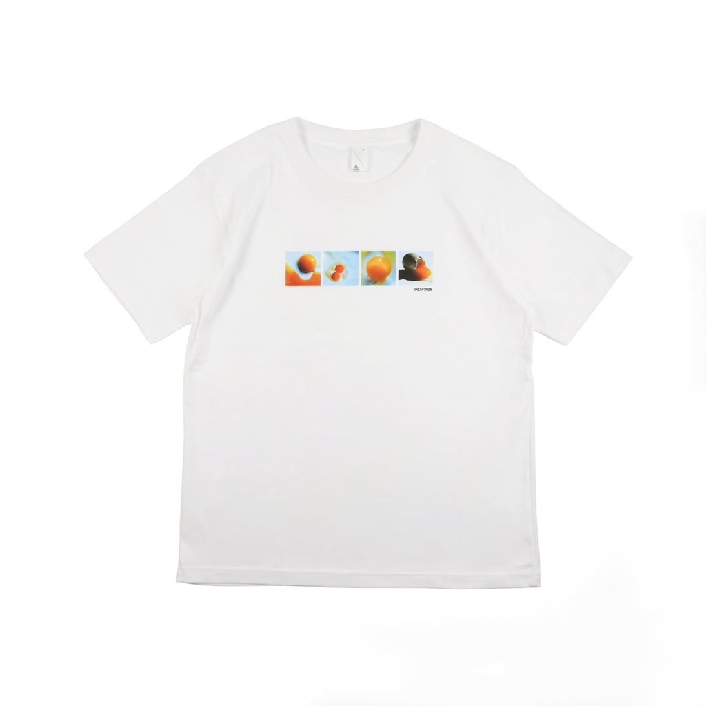 T_c2b3e456-7355-45fb-a7d4-