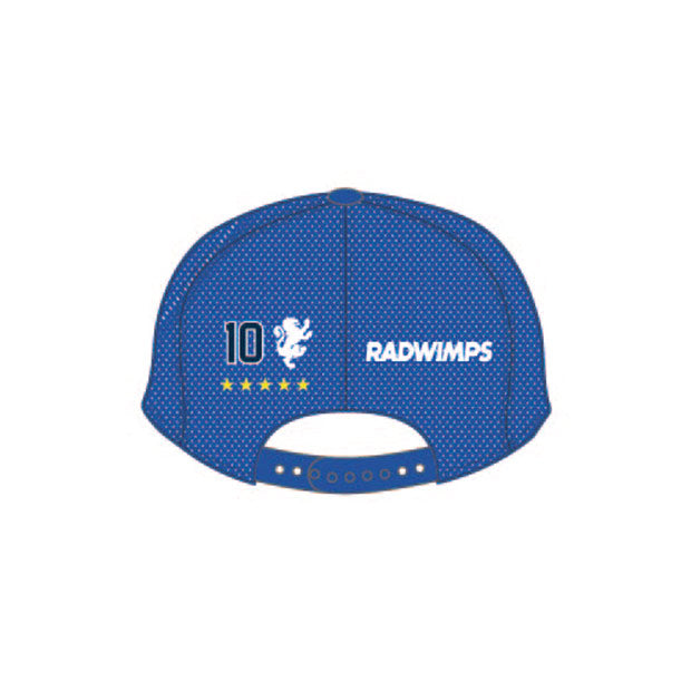 Mesh cap (RTCT, blue)